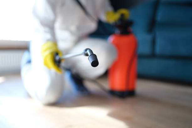 Best Forensic Mold Investigation  in Corralitos, CA